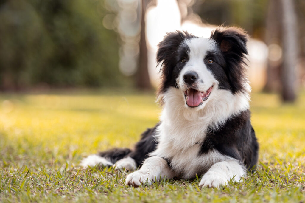 Istock 1420601907